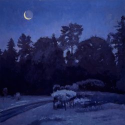 MIDNIGHT (PANTHER LAKE GARDEN SERIES), oil on MDH panel, 30 x 30 inches, copyright ©2023, $3,400.00