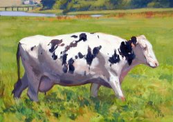 Holstein, oil on canvas, 18 X 24 inches, copyright ©1998