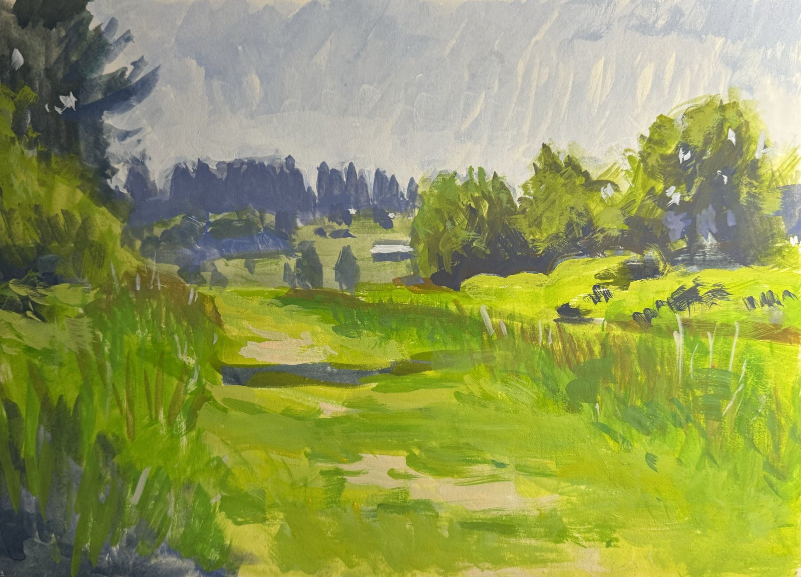 Irving Lawson Access Area