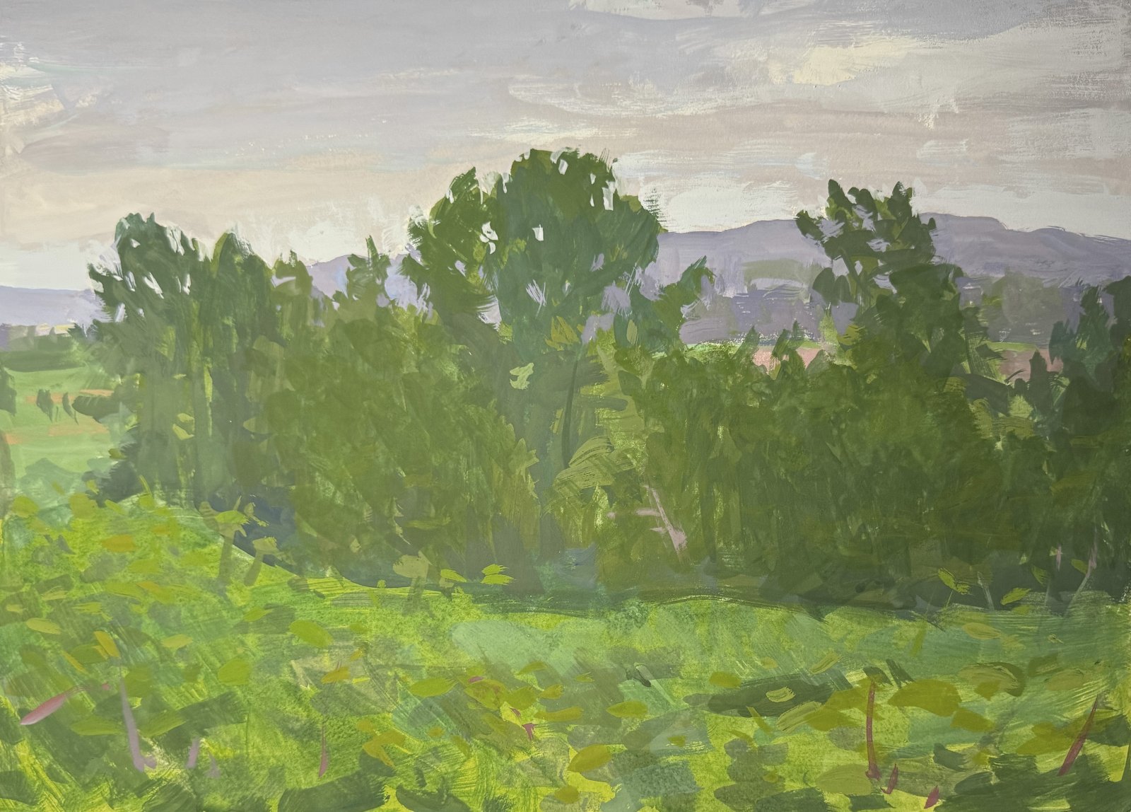 Snohomish Valley Viewpoint