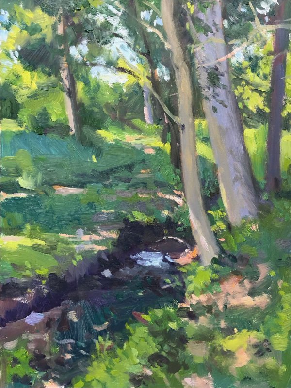 Finch Apunte, oil on panel, 16 x 20 inches, copyright ©2019