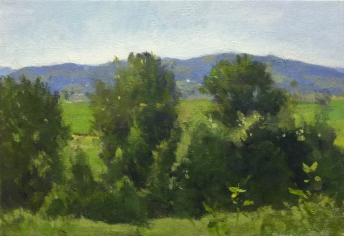 Snohomish Valley Study - Greens, oil on canvas, 11 x 16 inches, copyright ©2014