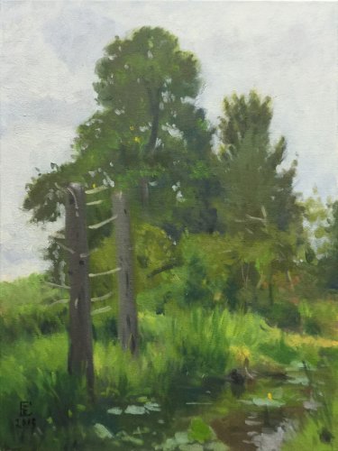 Juanita Beach Trees, oil on canvas, 24 x 18 inches, copyright ©2015