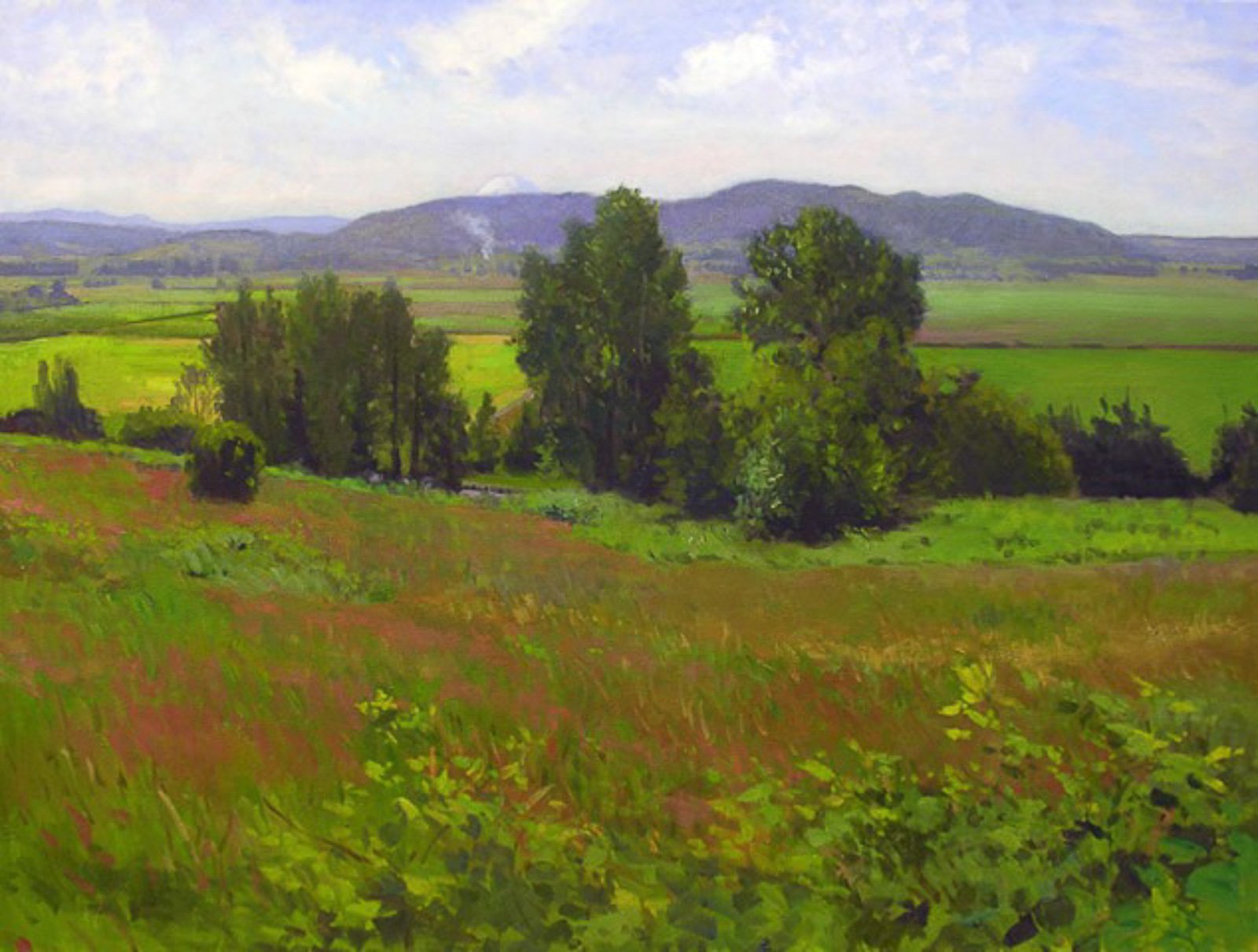 Snohomish Valley w/ Mt. Rainier, oil on canvas, 36 x 48 inches, copyright ©2008
